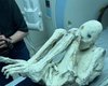 Мумии "инопланетян": в США проведут исследование трупов, содержащих 30% неизвестной ДНК (фото)