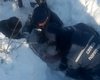 В Харьковской области спасатели достали из-под снежного завала 12-летнюю девочку