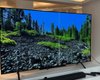Недорогие OLED-телевизоры с отличными параметрами: топ-3 модели от ведущих брендов (фото)