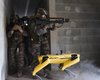 Французские военные на учениях протестировали робота от Boston Dynamics (фото, видео)