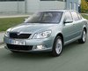 Время настоящего лидерства – время Skoda Octavia А5!
