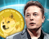 Tesla может начать принимать Dogecoin за оплату своих автомобилей