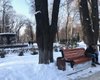 Лавочки у фонтана. Как в Киеве сделать из Мариинского нью-йорский Central Park