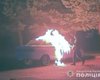 Во Львове мужчина из тюрьмы организовал поджоги автомобилей военных и полицейских (фото)