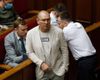"Давай Вова, давай!": все, что известно о новом скандале вокруг нардепа Шевченко (скриншоты)