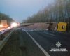 В Житомирской области перевернулась фура:  движение по трассе Киев-Чоп заблокировано