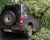  Ураган в Москве повалил 900 деревьев. Есть пострадавшие