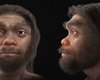 Ближайший родственник Homo sapiens: ученые смоделировали лицо настоящего Человека-дракона (фото)