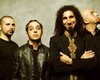 От Армении на Евровидение хотят отправить System of a Down