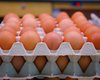 Опять вырастут: в Украине изменятся цены на яйца, — Всеукраинский аграрный совет