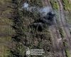 Накрили вогнем: з'явилося відео з БПЛА, як 3 ОШБр зачищала лісосмугу біля Андріївки (відео)