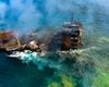 Экологическая катастрофа у Шри-Ланки: власти готовятся к разливу нефти из сгоревшего контейнеровоза