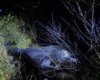 В Молдове взорвался российский дрон, которым атаковали Одесскую область (фото)