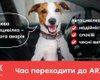 Дешевая Автогражданка – дорогая авария. Как правильно выбрать страховку для авто