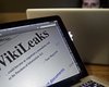 Доброволец Wikileaks был информатором ФБР 