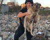 Жив 3 дні: у Сумах помер пес, якого знайшли після ракетного удару ЗС РФ (відео)
