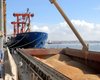 Пять стран просят Еврокомиссию ввести запрет на импорт российского и белорусского зерна