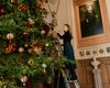 Королевское рождество: в Виндзорском замке нарядили елки к праздникам