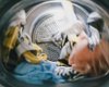 Дело в температуре: ученые считают, что большинство людей неверно стирают свою одежду