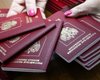 В РФ назвали количество получивших российские паспорта жителей Донбасса