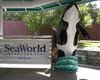 Американский парк SeaWorld продали за 2,7 млрд долл.