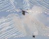 США и Южная Корея завершают учения возле границ КНДР
