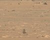 NASA продлила на месяц миссию вертолета Ingenuity