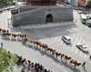Караван идет. В Китае прошел парад верблюдов