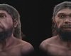 Як виглядав найдавніший представник Homo sapiens: вчені відтворили його обличчя (фото)
