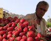 В Греции обстреляли участников демонстрации мигрантов