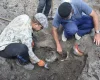 Даже кирпичи удивили: что ценного нашли археологи в Черкассах (фото)