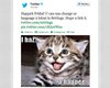 Интерфейс Twitter перевели на сленг lolcat