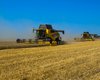 Хлебное время. Как Украина во время войны собирает урожай (фото, комментарии аграриев)