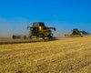 "Безпечніший варіант": Україна домовляється з Молдовою про транзит зерна залізницею, — Reuters