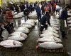 Крупнейший в мире рыбный рынок закрылся в Токио