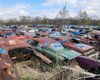 Ржавые сокровища: обнаружено огромное кладбище редких американских ретро-авто (видео)