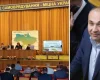 Рейдерство на Черниговщине: община требует от президента Зеленского остановить произвол нардепа, — СМИ