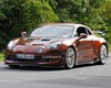 Новий трековий спорткар від Renault вперше помітили під час тестів (фото)
