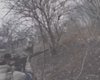Бойцы ССО показали кадры боя с солдатами КНДР под Курском: как "подстрелили" 18 целей (видео)