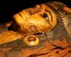 Все тысячелетние мумии лишены одного органа: его заменяли на камни и луковицы