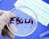Смертельная лихорадка Эбола вернулась в Африку