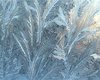 Погода: на выходных в Киеве до -26°