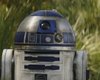 Что общего у скворцов и R2-D2 из "Звездных войн": они "разговаривают" на одном языке (видео)