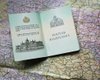 Жителям Закарпатья уже 7 лет выдают венгерские паспорта, - СМИ