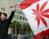 В Канаде закончилась марихуана