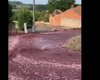 Красные реки: в Португалии вино затопило улицы города (видео)