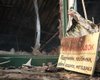 Россияне сожгли украинские учебники: часть не поступит до 1 сентября