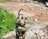 В России на фронте появился новый род войск — "боевые лучники" (фото)