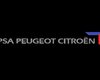 Уволен директор Peugeot Citroen 
