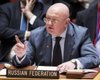 Совбез ООН отказался рассматривать российский вопрос об украинском языковом законе